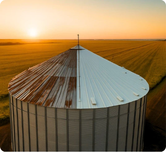 Silo metálico de armazenamento agrícola em área rural ao pôr do sol, com telhado circular parcialmente oxidado.